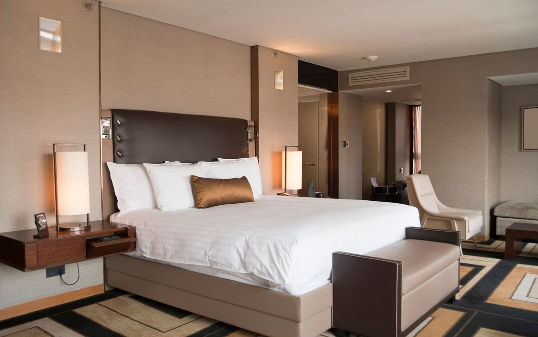 Éliminer les punaises de lit à l’hôtel grâce à la vapeur